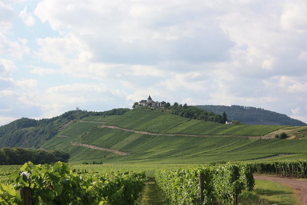 Zwei Ferienwohnungen "Im Weingarten " Burg  Room photo